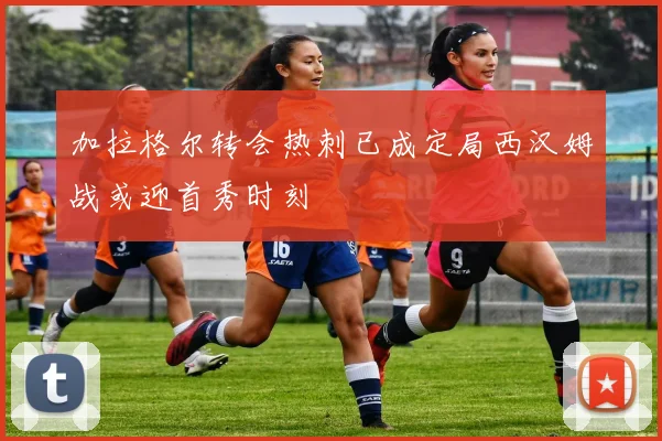 加拉格尔转会热刺已成定局西汉姆战或迎首秀时刻