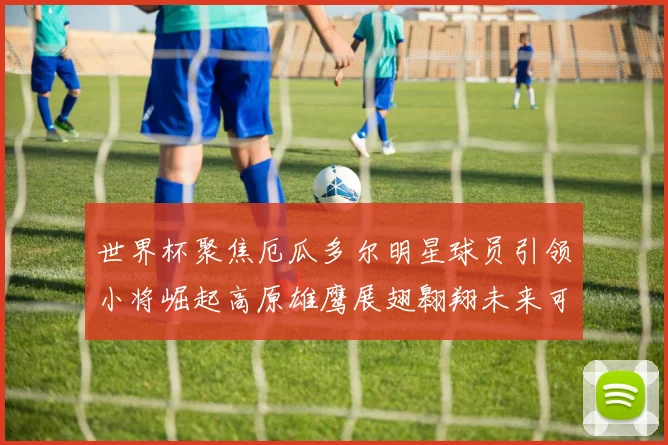 世界杯聚焦厄瓜多尔明星球员引领小将崛起高原雄鹰展翅翱翔未来可期